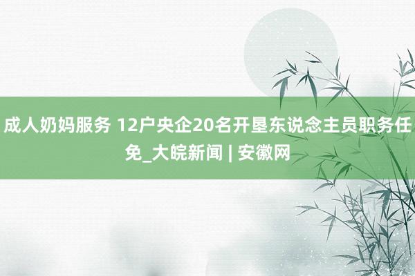 成人奶妈服务 12户央企20名开垦东说念主员职务任免_大皖新闻 | 安徽网