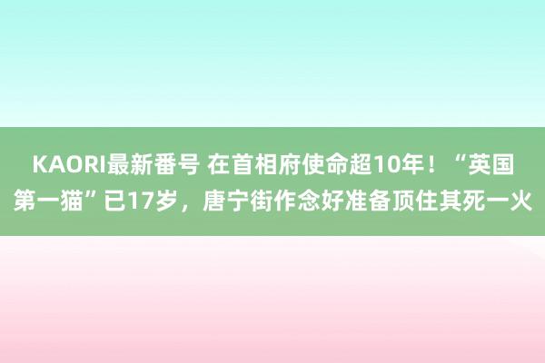 KAORI最新番号 在首相府使命超10年！“英国第一猫”已17岁，唐宁街作念好准备顶住其死一火