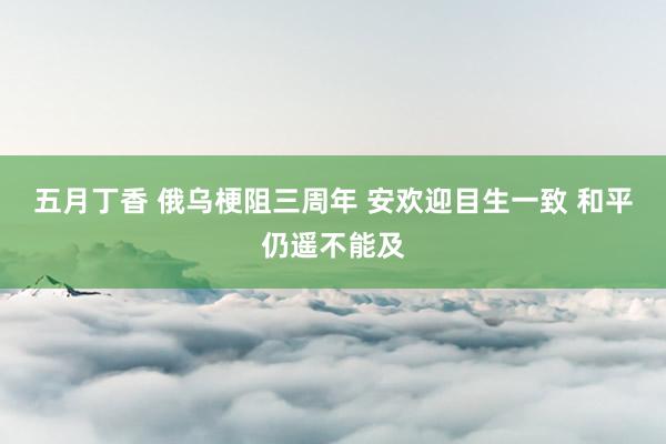 五月丁香 俄乌梗阻三周年 安欢迎目生一致 和平仍遥不能及