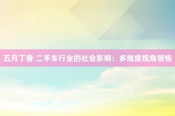 五月丁香 二手车行业的社会影响：多维度视角领悟
