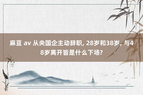 麻豆 av 从央国企主动辞职, 28岁和38岁, 与48岁离开皆是什么下场?