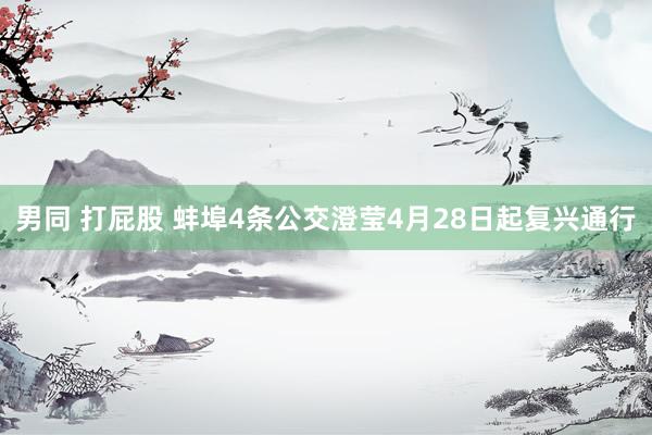 男同 打屁股 蚌埠4条公交澄莹4月28日起复兴通行