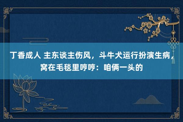 丁香成人 主东谈主伤风，斗牛犬运行扮演生病，窝在毛毯里哼哼：咱俩一头的